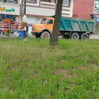 همکار درفروشگاه