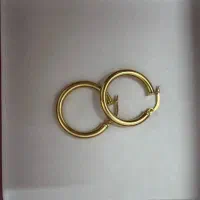گوشواره گمشده