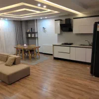 پذیرش پت|اجارهٔ کوتاهمدت آپارتمان و سوئیت|تهران, آرژانتین|دیوار