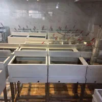 سرخ کن دو لگنه و تک لگنه