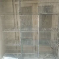 قفس پرنده