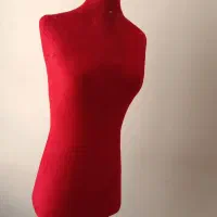 مانکن سوزن خور