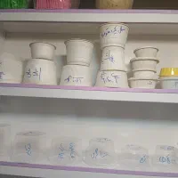 سطل  و کاسه گیاهی آملون