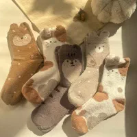 جوراب وپاپوش