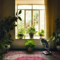 اجاره-65-متری-خونه-دربست