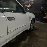 نقاش و لیسه گیر