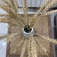 رهن کامل