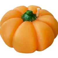 هنری|صنایع دستی و سایر لوازم تزئینی|دابودشت, |دیوار