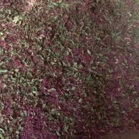 زرشک پفکی امسالی