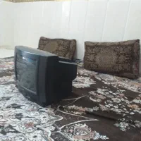 تلویزیون|تلویزیون و پروژکتور|بندر ماهشهر, |دیوار