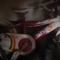 دوچرخه tpt bike