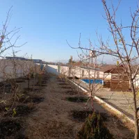 زمین ۱۵۰۰ متری با سندتکبرگ درسیداباد دماوند|فروش زمین و ملک کلنگی|دماوند, دماوند|دیوار