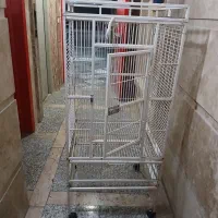 قفس پرنده طوطی عروس هلندی