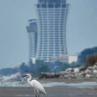 500مترجهت آپارتمان سازی/متل قوروبروی رستوران فرزین