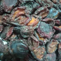 گوجه خشک و سیب خشک|خوردنی و آشامیدنی|ملکان, |دیوار