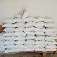 برنج فجر لاشه وسالم|خوردنی و آشامیدنی|گنبد کاووس, |دیوار