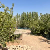 فروش فوری یه تیکه بهشت با درختای بارده|فروش زمین و ملک کلنگی|تهران, بوستان سرخه حصار|دیوار