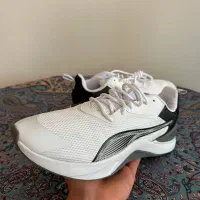 کتانی مردانه پوما اورجینال Puma 37789311
