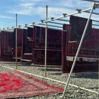 قالیشویی در هشتگرد .نظراباد مهستان
