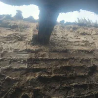 بنایی|خدمات پیشه و مهارت|محمدشهر, محمدشهر|دیوار