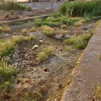 زمین ۲۵۰ متری