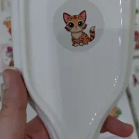 جاقاشقی چینی کنارگازی