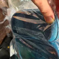 دمپاییه ارزان|کیف، کفش، کمربند|بوشهر, |دیوار