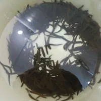 فروش زالو طبی