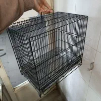 قفس سهره|زیورآلات و اکسسوری|مراغه, |دیوار