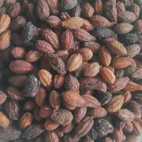 زغال اخته خشک