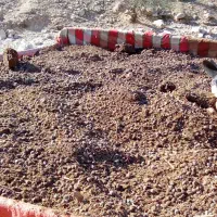 کود. حیوانی