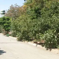 ایرانشهر-328متر-کلنگی-بر10-جنوبی