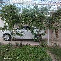 دنا پلاس شیش دنده