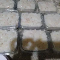 ماهی و میگو|ماهی|قشم, |دیوار