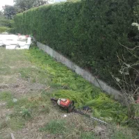 علفتراشی هرس بریدن درخت وکلیه کارهای باغبانی