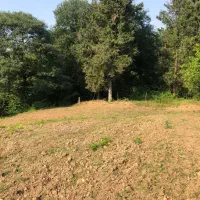 زمین کشاورزی وباغی