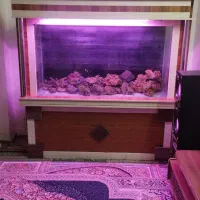 آکواریوم بزرگ به قیمت استثنایی