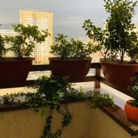 ۱۶۳متر ۳خوابه/تراس بزرگ