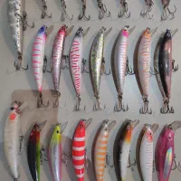 33 عدد لور ماهیگیری اسپین|ماهیگیری|شیراز, گویم|دیوار