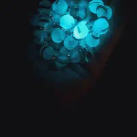 تسبیح موی،یار