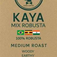 فروش کلی و جزئی دان قهوه با بهترین قیمت|خوردنی و آشامیدنی|رشت, پیرسرا|دیوار