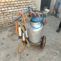 فروش. شیردوش. سلام