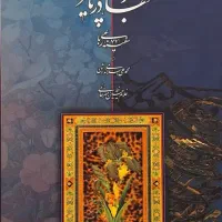 خرید و فروش کتاب خطاطی