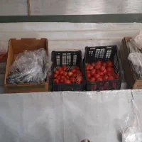 میز وپالت میوه فروشی در حدنو ورق ضخیم|فروشگاه و مغازه|شاهدشهر, |دیوار