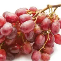 ارائه نهال انگورکریسمون پربار و شیرین|خدمات باغبانی و درختکاری|درب گنبد, |دیوار