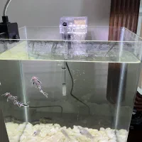 اکواریوم شیشه خم