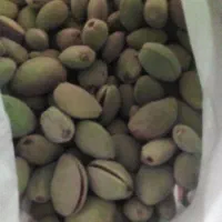 بادام نوبربرای تازه خوری