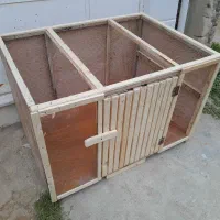 لانه مرغ وخروس