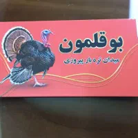 پخش عمده و خورده بوقلمون