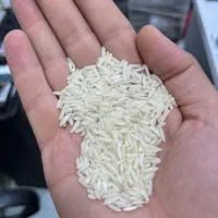 فروش برنج هاشمی درجه یک|خوردنی و آشامیدنی|سنگر, |دیوار